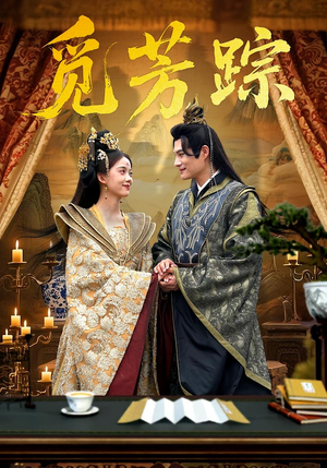 觅芳踪（91集）短剧免费观看