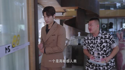 对不起我磕到你了（20集）贝贝短剧分享