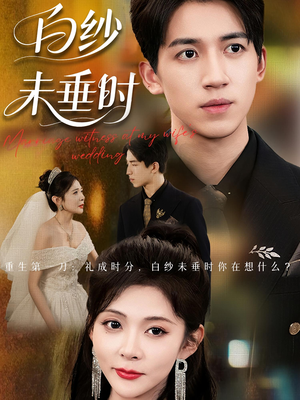 老婆婚礼，我当证婚人（54集）剧情简介