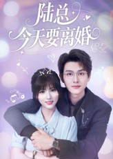 陆总今天要离婚（81集）精彩短剧天天看
