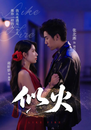 似火（80集）热门短剧免费看