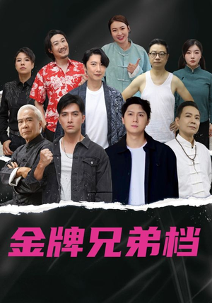 龙虎兄弟（60集）全集一次看完