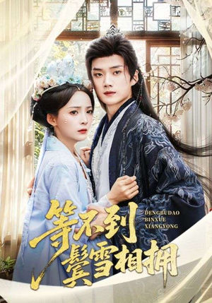 等不到鬓雪相拥（61集）短剧全集抢先看