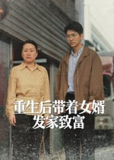 重生后带着女婿发家致富（41集）视频在线看