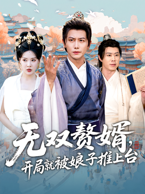 无双赘婿开局就被娘子推上台（80集）360网盘观看