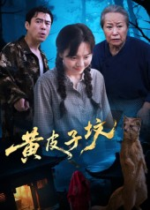 黄皮子坟（35集）演的怎么样