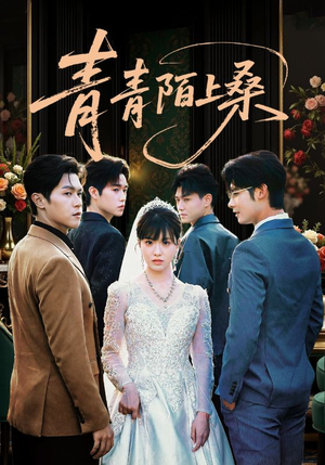 青青陌上桑（70集）看到大结局