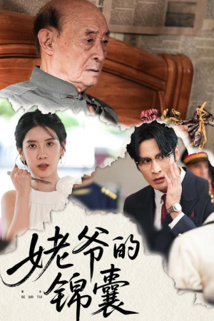 姥爷的锦囊（63集）红果短剧免费看