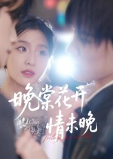 晚棠花开情未晚（30集）最新短剧抢先看