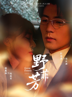 野芳菲（60集）精彩片段