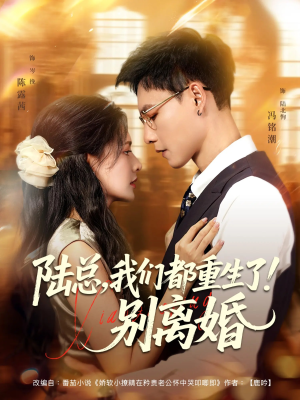陆总我们都重生了别离婚（79集）最新热播短剧