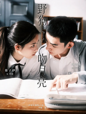 野狗吻月亮（68集）好看短剧推荐