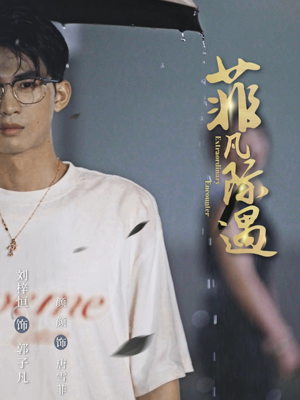 菲凡际遇（100集）全集