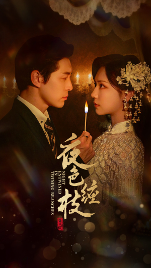 夜色缠枝（60集）无需会员轻松看