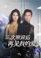 三次原谅后再见我的爱（80集）最新上映的短剧