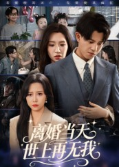 离婚当天世上再无我（60集）热播短剧免费看