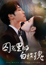 囚笼里的白玫瑰（59集）最热短剧推荐