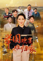 举国欢宴难归家（40集）在哪个app能看