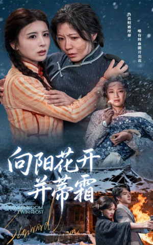向阳花开并蒂霜（60集）热门短剧免费看