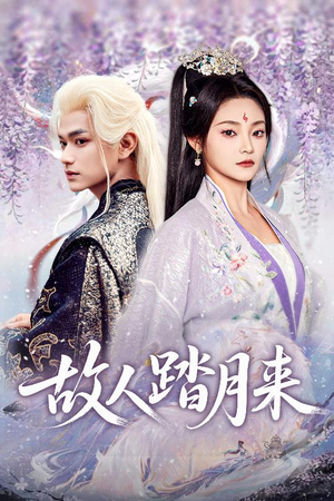 故人踏月来(60集) 故人踏月来(60集)西瓜短剧免费看