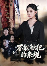 不能触犯的条规（50集）短剧分享剧集