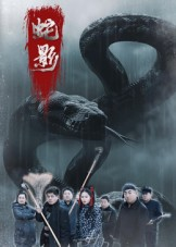 蛇影（25集）高清画质免费看