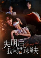 失明后我认错了未婚夫（34集）短剧全集免费看