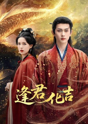 逢君化吉（58集）高清无码免费看