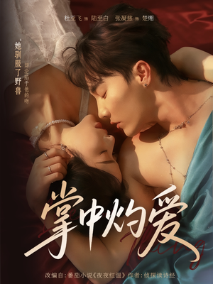 掌中灼爱(62集) 掌中灼爱(62集)短剧中追到爽