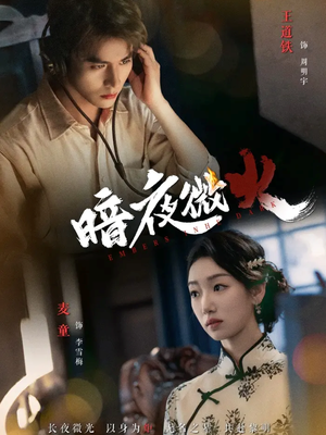 暗夜微火(80集) 暗夜微火(80集)怎么看全集