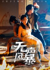 无声风暴(33集) 无声风暴(33集)全季一次看完