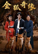 金狐奇缘(42集) 金狐奇缘(42集)热门短剧追到爽