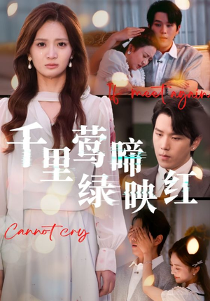 千里莺啼绿映红(63集) 千里莺啼绿映红(63集)第二季