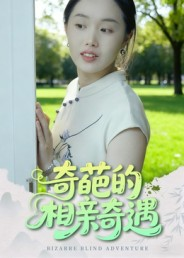 奇葩的相亲奇遇(17集) 奇葩的相亲奇遇(17集)在线免费观影