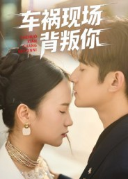 车祸现场背叛你(37集) 车祸现场背叛你(37集)第一季