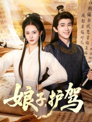 娘子护驾(73集) 娘子护驾(73集)全集一网打尽