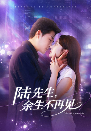 陆先生,余生不再见(88集) 陆先生,余生不再见(88集)短剧有好货推荐