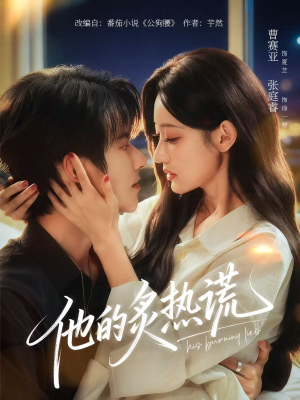 他的炙热谎（63集）爆款短剧推荐