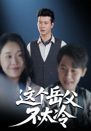 这个岳父不太冷（30集）精彩短剧免费看