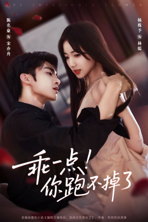 乖一点！你跑不掉了（85集）在线观看全集