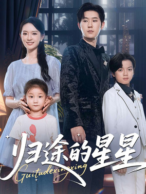 归途的星星(100集) 归途的星星(100集)好看吗