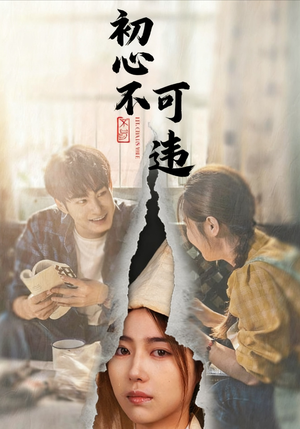 初心不可违（62集）短剧看全集