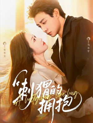 刺猬的拥抱(71集) 刺猬的拥抱(71集)真的太精彩了