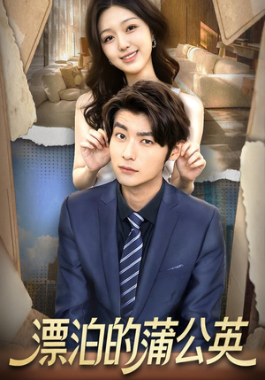 漂泊的蒲公英(60集) 漂泊的蒲公英(60集)剧好看短剧推荐