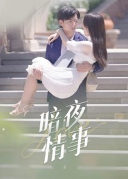 暗夜情事（100集）百亿短剧抢先看
