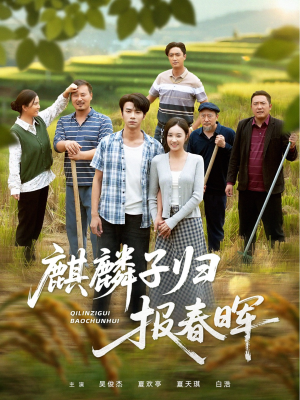 麒麟子归报春晖（36集）热播短剧推荐