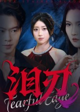 泪刃（40集）推荐你们也去看