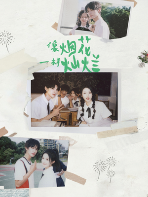 像烟花一样灿烂(60集) 像烟花一样灿烂(60集)精彩短剧热播