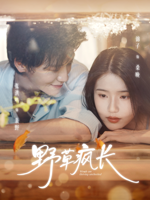 野草疯长(71集) 野草疯长(71集)短剧