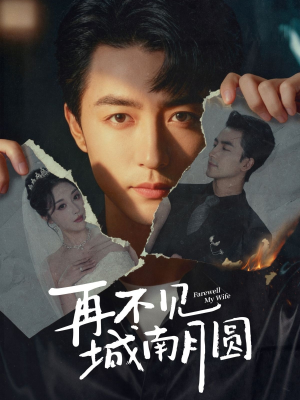 再不见城南月圆(60集) 再不见城南月圆(60集)热门短剧大全